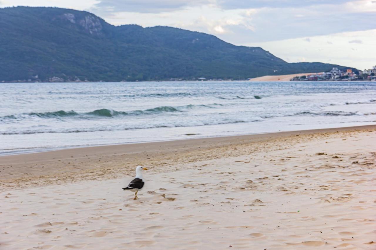 Cobertura Com Vista Mar Para 6 Hospedes, 150 Metros Da Praia Dos Ingleses Ing17 Florianópolis Kültér fotó